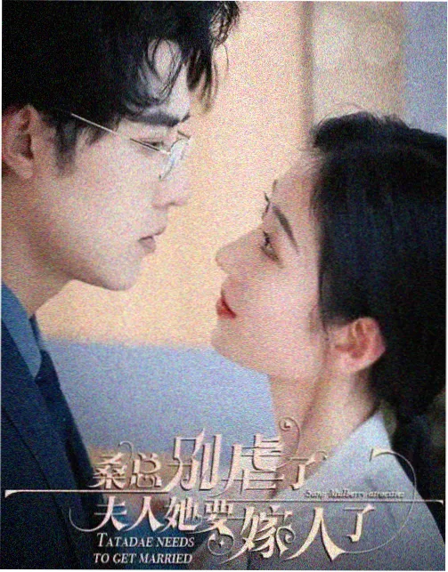 每日影视剧集雾港十七号雨夜码头剧照